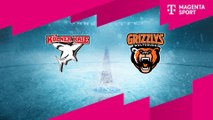 Highlights von Kölner Haie - Grizzlys Wolfsburg
