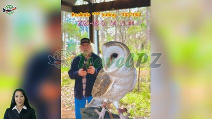 「TravelPZ」 Review Capes Raptor Centre Ticket in Margaret River