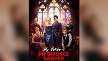 My Wife Is My Divorce Lawyer