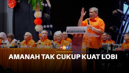 Rombakan Kabinet Isyarat Amanah tak cukup kuat lobi wakil tambahan