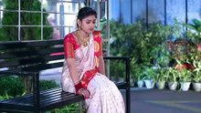 Tu_Raja_Mu_Rani_S01E490_Ep_490_360p_TP_WEB_DL_AAC2_0_H_264_OTT_Downloader