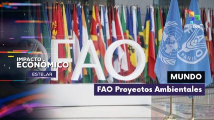 Revisamos los proyectos de la FAO IMPACTO ECONÓMICO ESTELAR  18-12-2025