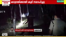 വയനാട് പുൽപ്പള്ളിയിൽ ഇറങ്ങിയ കടുവയ്ക്കായി കൂട് സ്ഥാപിച്ചു