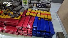 Quase 300 kg de drogas são apreendidos na região de Céu Azul