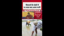 'पंजाब में किसानों के खेतों में 70 साल...', केजरीवाल का दावा