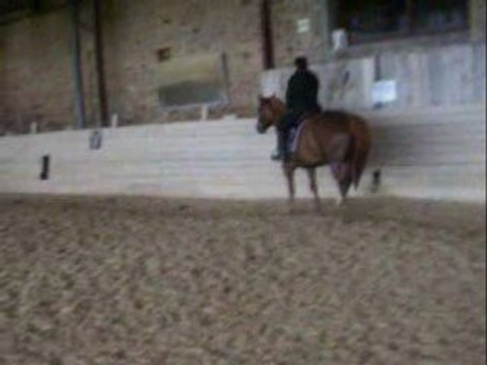 Reprise dressage club 2 gp