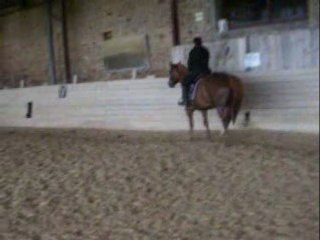 Reprise dressage club 2 gp