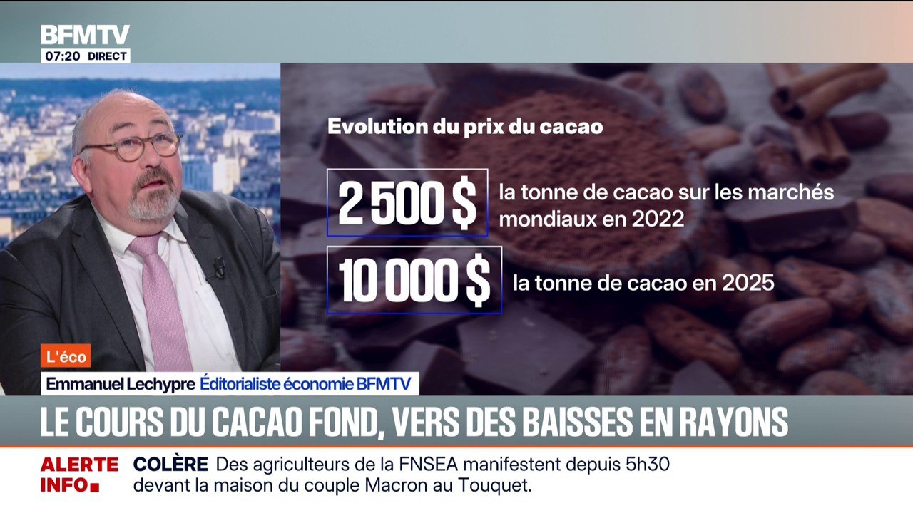 SIGNÉ BFM - Pourquoi le prix du cacao sur les marchés mondiaux a-t-il chuté de 50%?