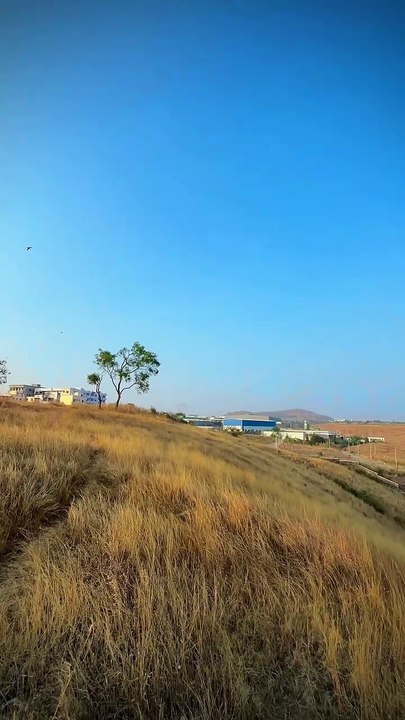 Beautiful nature views l amazing nature videos l nature channel