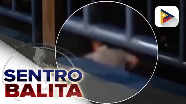 Hepe ng investigation management division ng PNP-HPG, sibak dahil sa panunutok ng baril at pananakit isang patrolman sa loob ng Camp Crame | ulat ni Ryan Lesigues