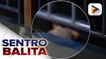 Hepe ng investigation management division ng PNP-HPG, sibak dahil sa panunutok ng baril at pananakit isang patrolman sa loob ng Camp Crame | ulat ni Ryan Lesigues