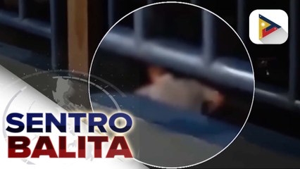 Hepe ng investigation management division ng PNP-HPG, sibak dahil sa panunutok ng baril at pananakit isang patrolman sa loob ng Camp Crame | ulat ni Ryan Lesigues