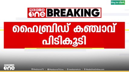 നെടുമ്പാശേരി വിമാനത്താവളത്തില്‍ നിന്ന് ഹൈബ്രിഡ് കഞ്ചാവ് പിടികൂടി