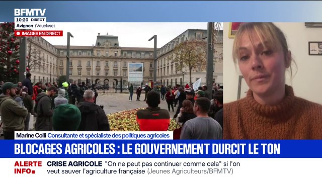 À Avignon, les agriculteurs en colère jettent des pommes sur la cité administrative