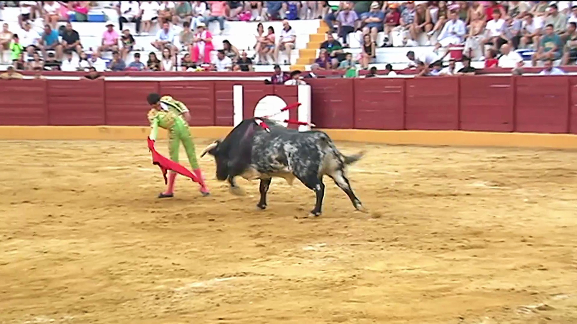 Grana y Oro (15/08/2025)