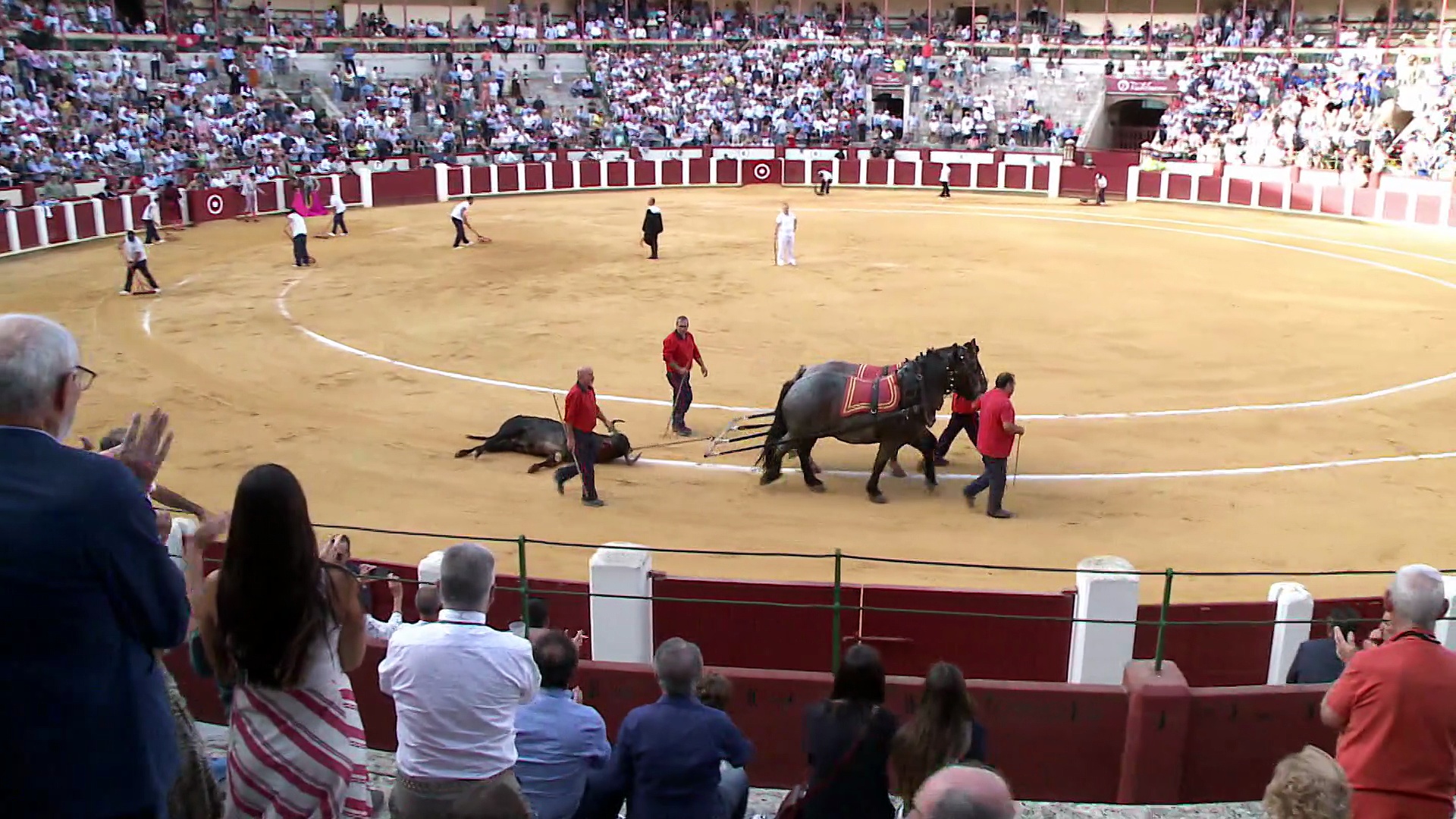 Festejos de verano IX con reportajes de Valladolid, Salamanca, Valencia de Don Juan, Cintruénigo, Tordesillas, entre otros