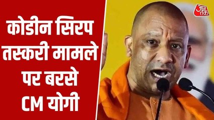 'सपा और माफियाओं का पुराना नाता', कोडीन सिरप तस्करी मामले पर बरसे CM योगी