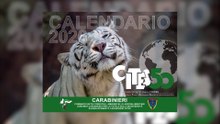 Carabinieri CITES, 50 anni di tutela della biodiversità globale