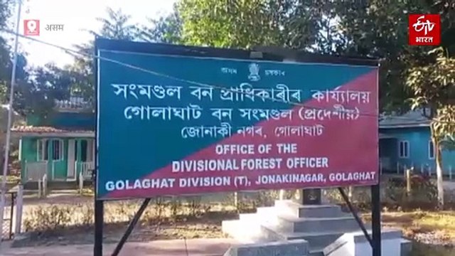 इंसानों और जंगली हाथियों के बीच संघर्ष, अब तक 10 लोगों और 5 हाथियों की मौत