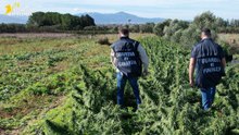 Cagliari, sequestrate 4 tonnellate di marijuana (19.12.25)