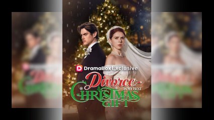 Divorce Is My Best Christmas Gift Full Movie