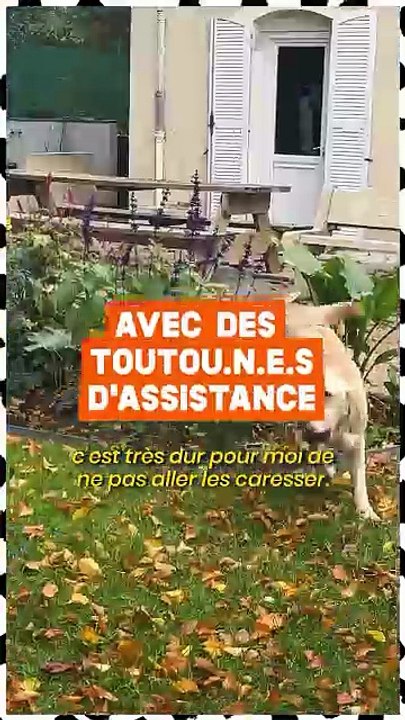 « On dit qu’on est maitre d’un chien, mais c’est vraiment plus que ça. Pour moi c’est de l’égalité entre ma chienne et moi. » Ophélie, non-voyante, vit chaque jour avec sa chienne Taïga, qui l’accompagne partout et lui permet de se déplacer en confiance.