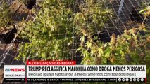Trump reclassifica maconha como droga menos perigosa nos EUA