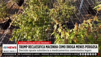 Trump reclassifica maconha como droga menos perigosa nos EUA