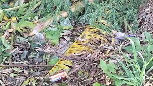 Descarte irregular de lixo preocupa moradores das Ruas Marechal Floriano e Pinheiro Machado, no bairro Cancelli