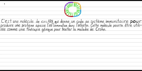 Une thérapie génique pour traiter la maladie crohn.