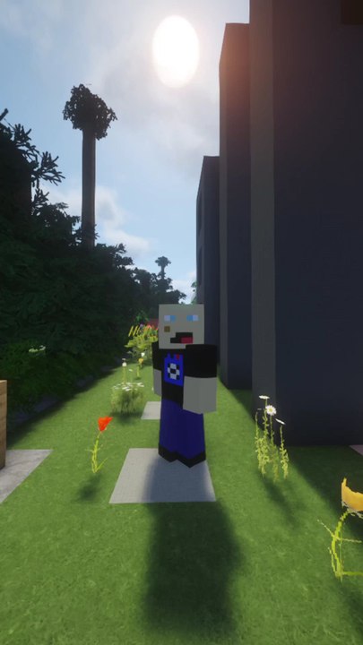 Un bloc suspect devant chez moi sur Minecraft