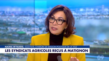 Naïma M’Faddel : «C’est la fin de la paysannerie française»