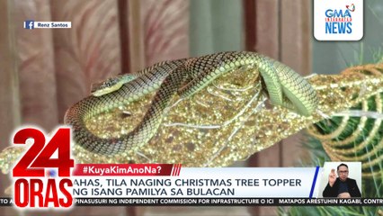Ahas, tila naging Christmas tree topper ng isang pamilya sa Bulacan | 24 Oras
