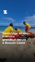 Sauvetage en mer : Exercice grandeur nature à Boucan Canot