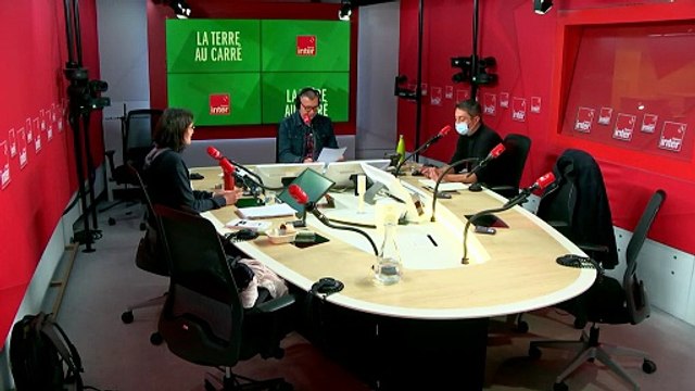 Plastiques alimentaires : attention danger ! - La Terre au carré