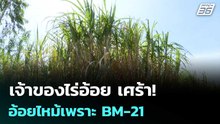เจ้าของไร่อ้อย เศร้า! อ้อยไหม้เพราะ BM-21 | เข้มข่าวค่ำ | 19 ธ.ค. 68