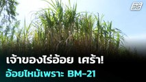 เจ้าของไร่อ้อย เศร้า! อ้อยไหม้เพราะ BM-21 | เข้มข่าวค่ำ | 19 ธ.ค. 68