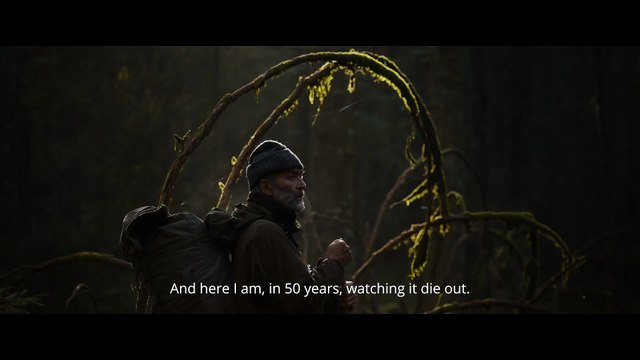 Whispers in the Woods / Le Chant des forêts - Trailer