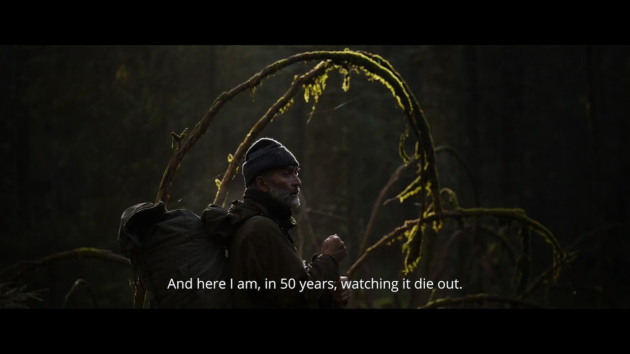 Whispers in the Woods / Le Chant des forêts - Trailer