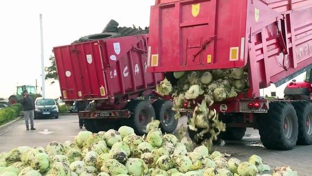 Фермеры протестуют у второго дома Макрона из-за торгового соглашения ЕС
