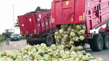 Rolnicy protestują pod drugą rezydencją Macrona przeciw umowie handlowej UE