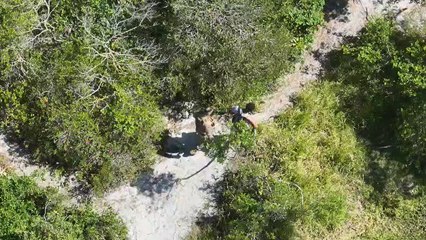 Homem é preso por importunação sexual em trilha no Sul da Ilha, em Florianópolis