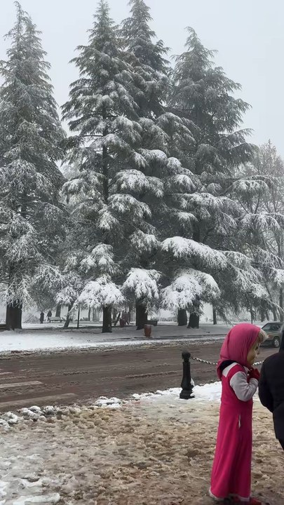 ifrane 💞 Morocco