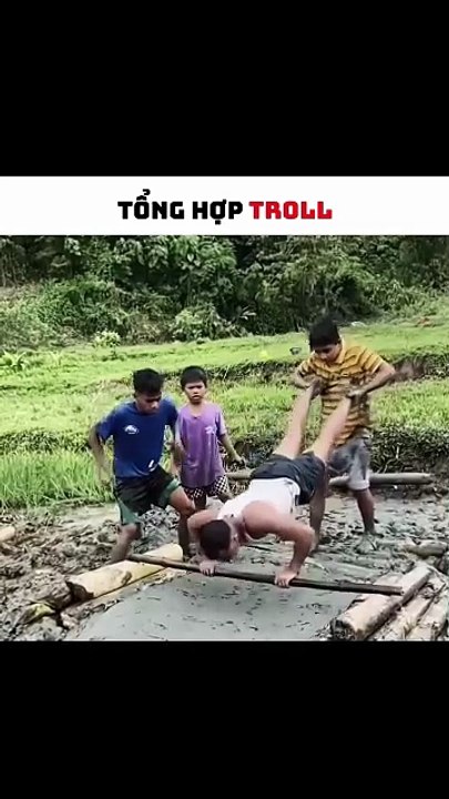 Tổng hợp troll