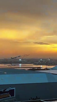 🌅✨ Quelque part entre la dernière lumière et l’envol Une image suspendue, entre crépuscule et mouvement, où la lumière s’efface pendant que l’élan commence. Un instant fragile, presque silencieux, qui capte ce point précis où tout bascule...