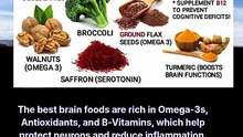 brain health foods