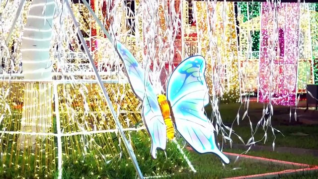 Рождественские огни привлекают жителей Лагоса, несмотря на насилие и рост цен