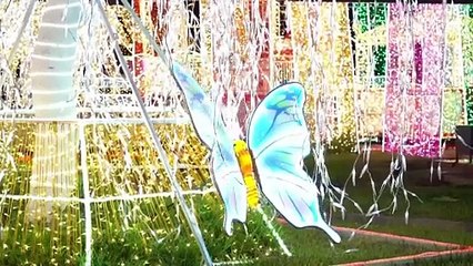 Τα χριστουγεννιάτικα φώτα προσελκύουν τους κατοίκους του Λάγος παρά τη βία και την ακρίβεια