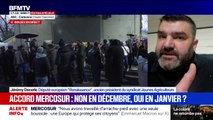 Mercosur: Jérémy Decerle, députée européen 