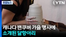 캐나다 밴쿠버 가을 행사 '컬쳐 크롤'에 소개된 달 항아리 / YTN